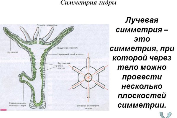 Кракен шоп даркнет