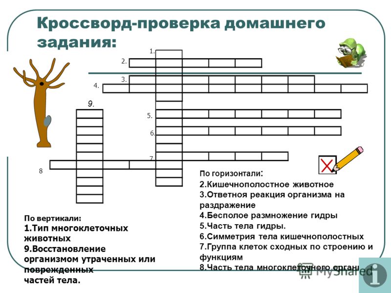 Кракен ссылка в тор