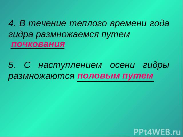 Найдется все kraken 2krn cc что это